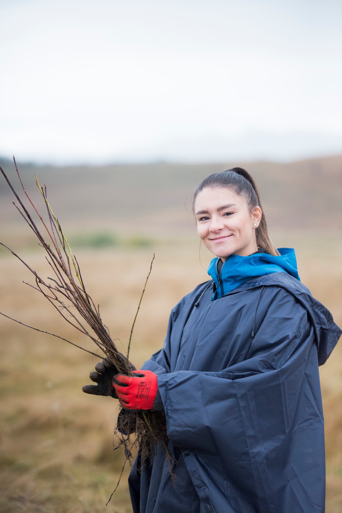Plantare Ocna Sibiului 15